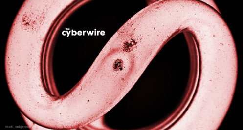 the cyberwire daily podcast – 6.15.18