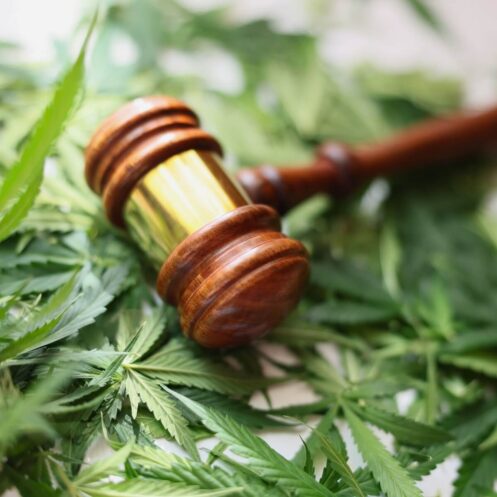reclassification of marijuana